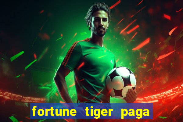 fortune tiger paga de madrugada